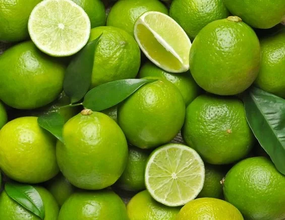 Citron Vert Agrume du Maroc lot de 400g